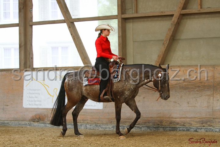 32-ApHC OWP_007.jpg
